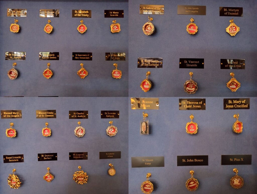 Medallas agrupadas-1024x771.jpg
